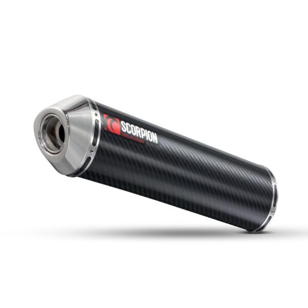 Aprilia RSV1000 Factory / Mille R / Tuono 2003-2008 Factory Oval Slip-on (Pair) Carbon Fibre Sleeve