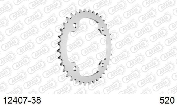 Afam Rear Sprocket Steel 520