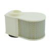 MIW AIR FILTER Y4243