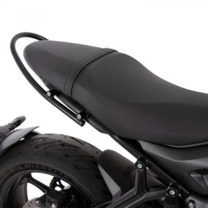 Pillion handle / railing   Triumph Trident 660 2021-