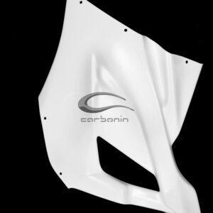 BMW S 1000 RR 2019 left side panel Avio Fiber