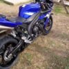 Crash Protectors - Yamaha YZF-R1 lowers 04-06 (swingarm pivot)