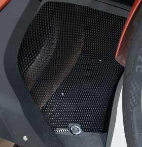 Downpipe Grille, BMW F800GT