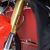 Radiator Guard BLACK - BMW S1000R 17-20