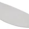 PINLOCK SCORPION LENS