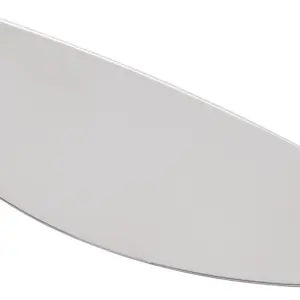 PINLOCK SCORPION LENS