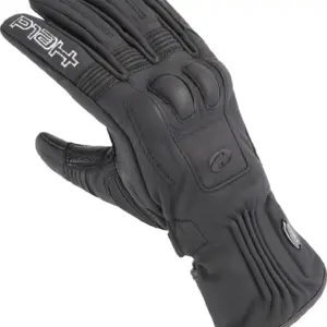 HELD ICE QUEEN 2271 DAM