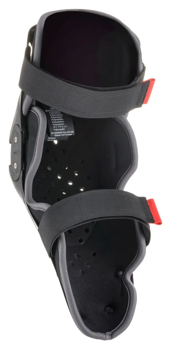 ALPINESTARS SX-1 V2
