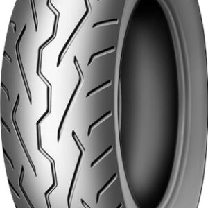 200/60R16 79V DUNLOP D251